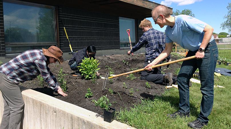 Staff and volunteers from the Living Prairie Museum plant the museum's garden.