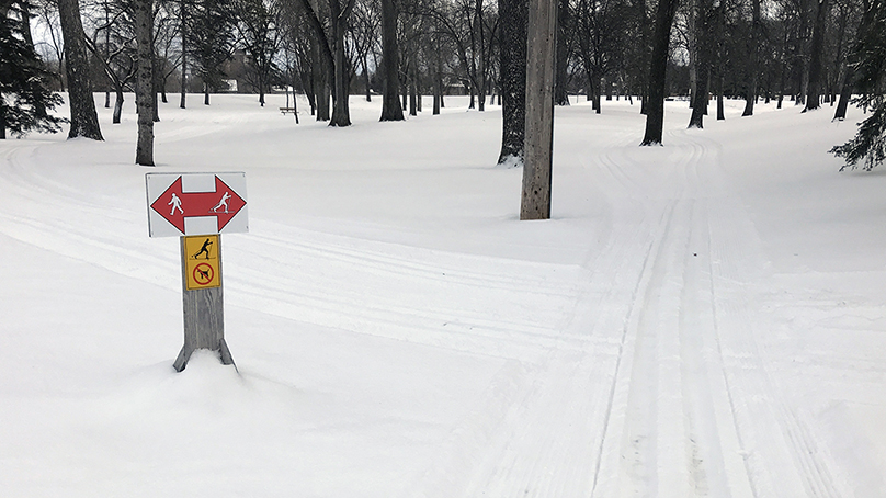 Cross-country ski trail at Kildonan Park