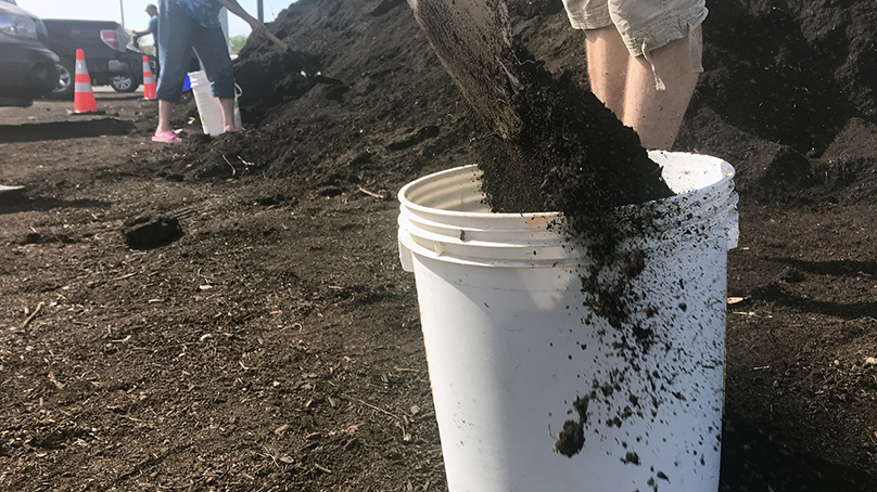 Compost being shoveled into a pail