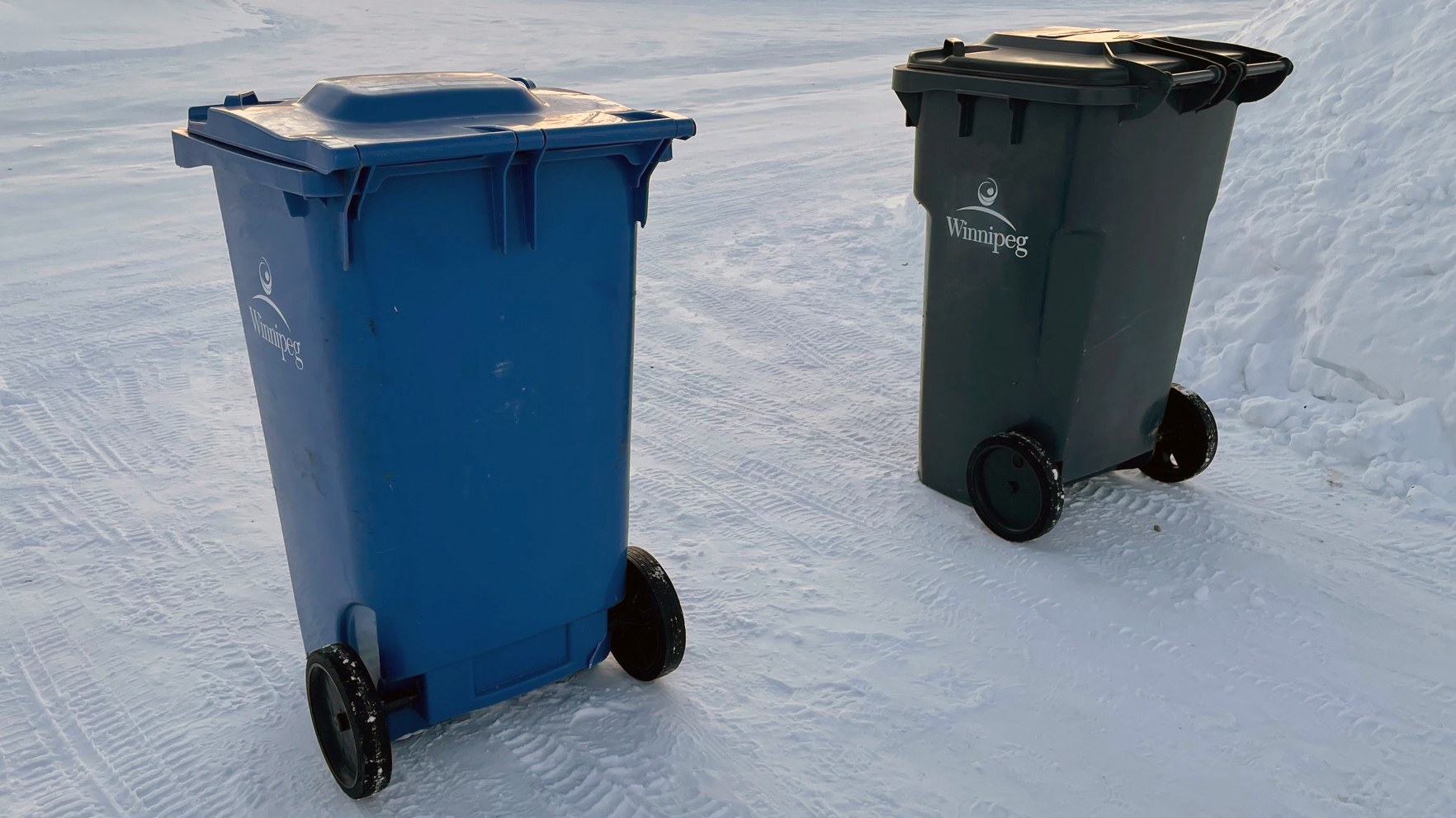 Garbage and Recycling bins