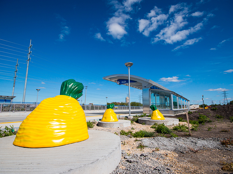 sugar beets art installation on southwest transitway near plaza stop