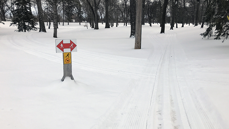 Cross-country ski path showing two possible paths