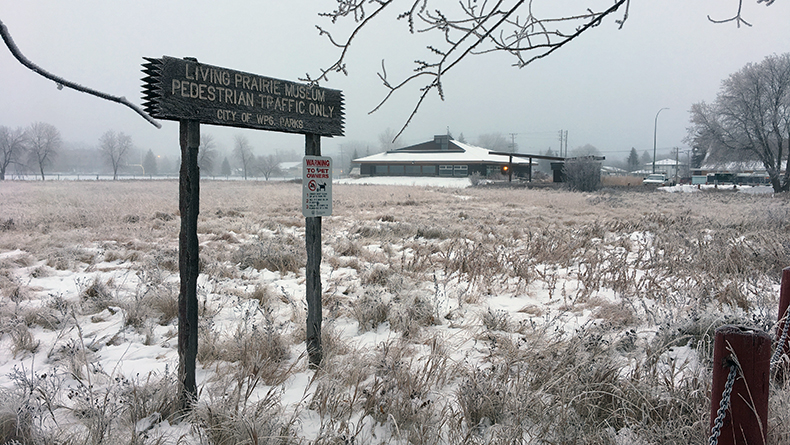 Sign Living Prairie Museum Pedestrian Traffic Only. Winter scene