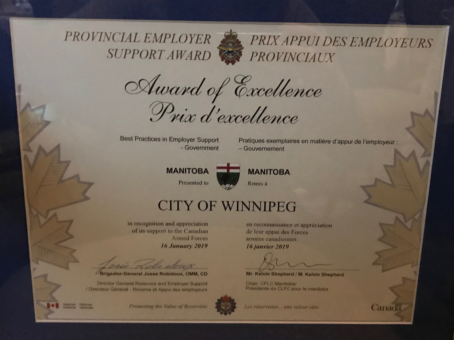 Close up view of award of excellence certificate for best practices