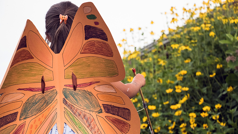 A child wearing homemade orange butterfly wings while standing in a field of yellow flowers.