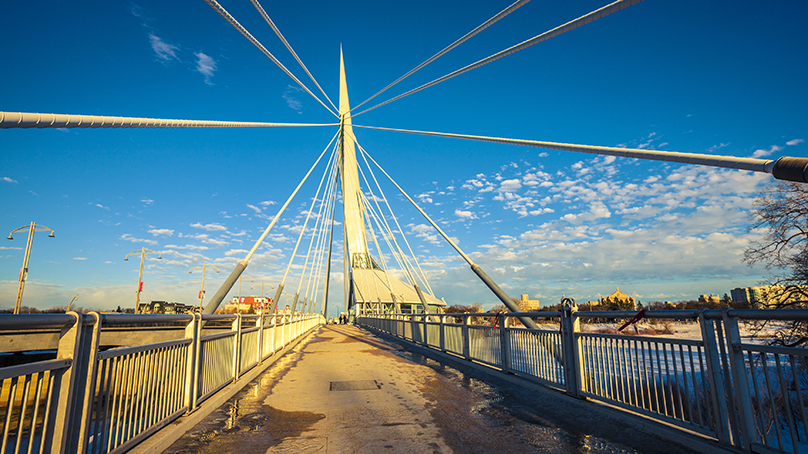 perspective view of the Esplanade Riel bridge from the path
