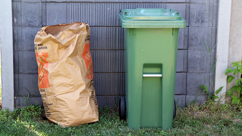 Yard waste and large green bin outside waiting for pickup