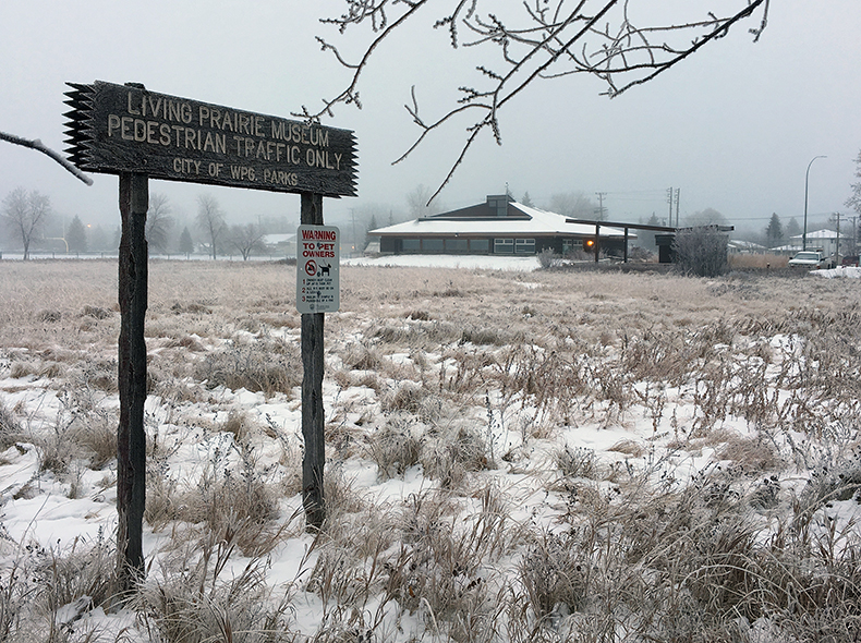 A wooden sign in a snow-covered field that reads "LIVING PRAIRIE MUSEUM, PEDESTRIAN TRAFFIC ONLY, CITY OF WPG. PARKS". The Living Prairie Museum is in the background.
