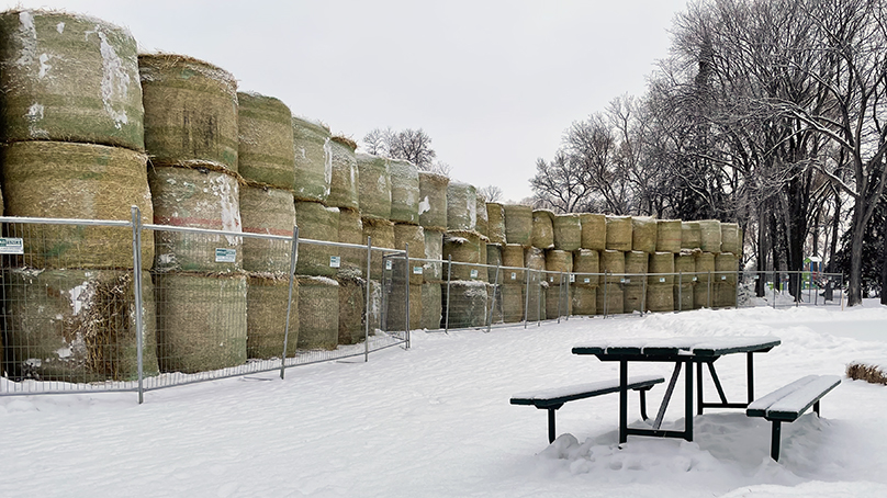 Stacks of bales in Fraser's Grove Park.