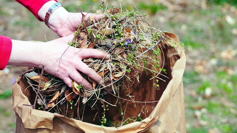small branches, grass clippings, and leaves are put into a paper yard waste bag