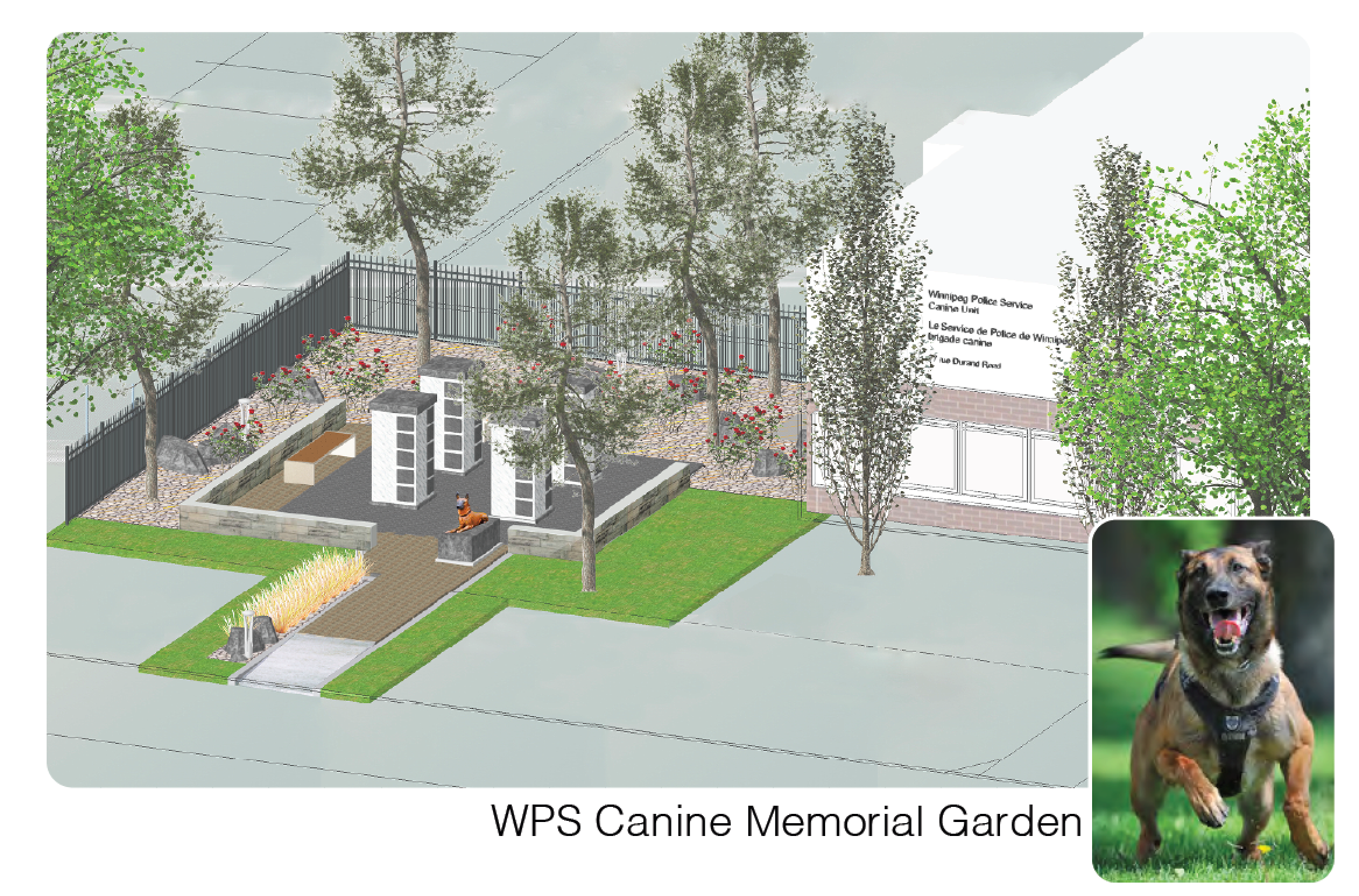 Illustration of the WPS Canine memorial garden
