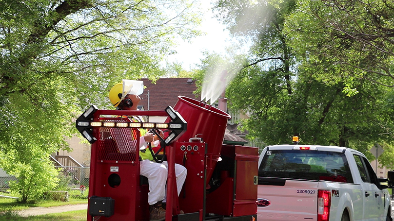 Tree Pest Caterpillar Control Program spraying crew