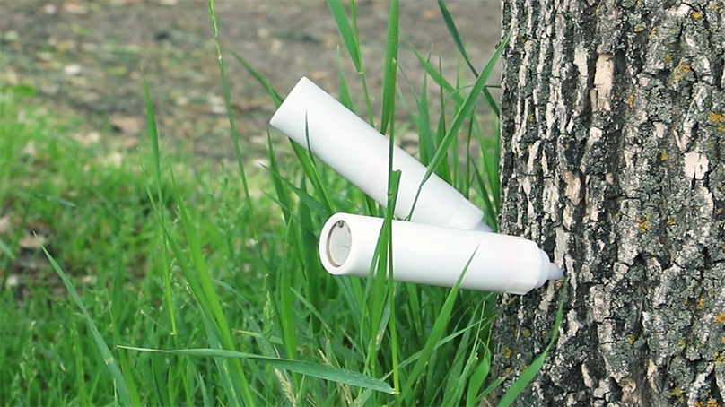 Tree being injected with a botanical insecticide through the bark to treat Emerald Ash Beetle