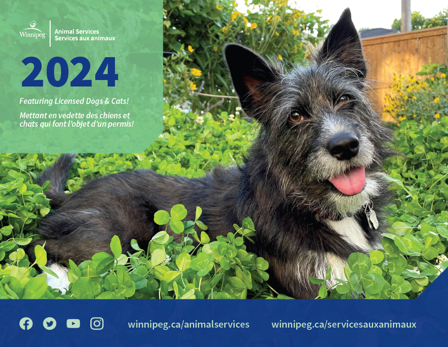 The Winnipeg Animal Services 2024 calendar cover