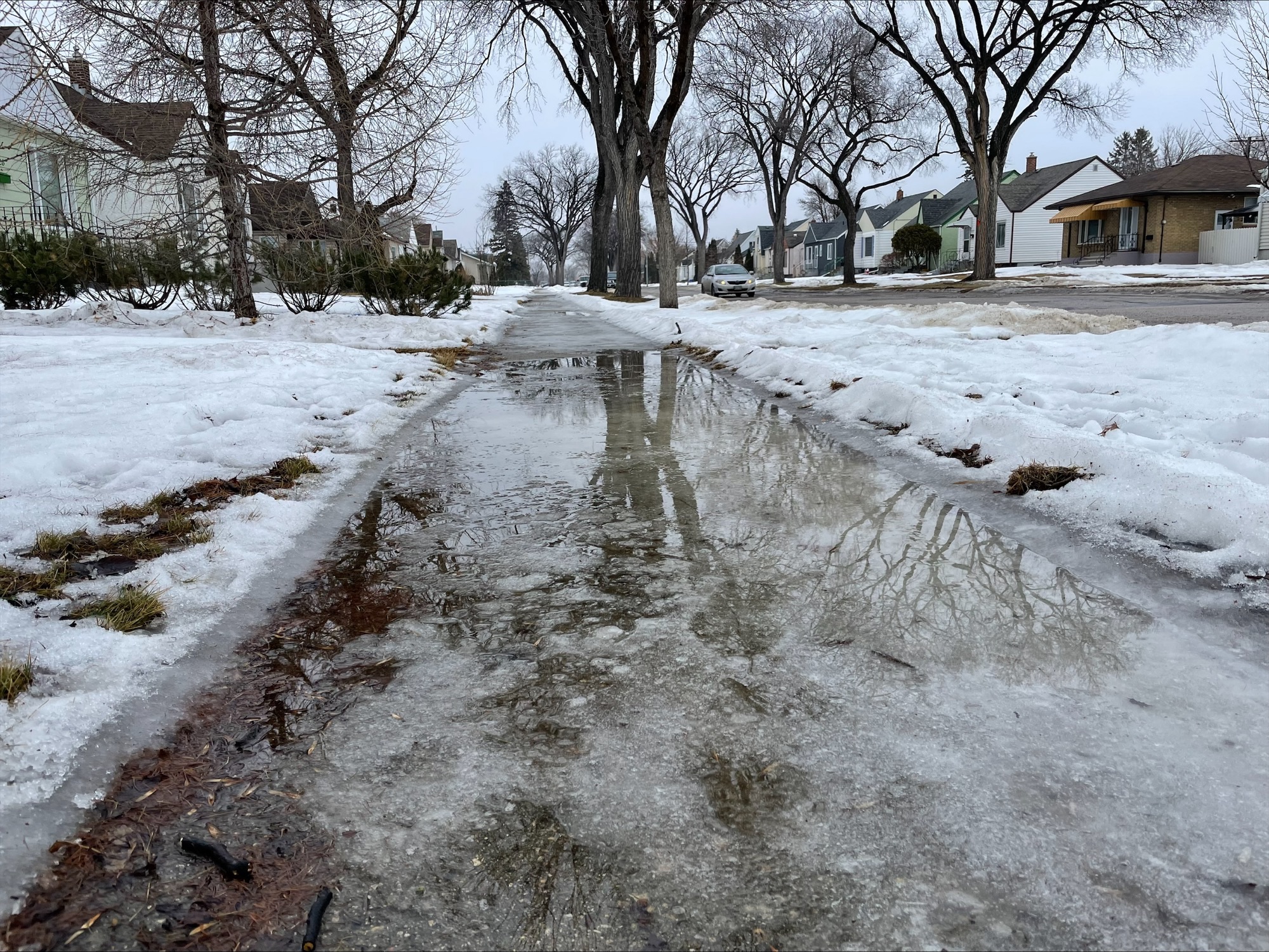 Water pools over an icy sidewalk on a residential road.