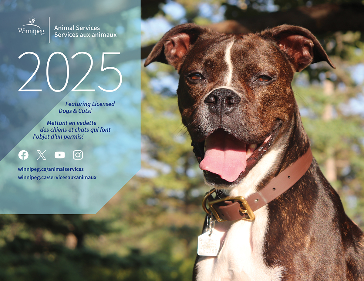 Cover of Animal Services Calendar