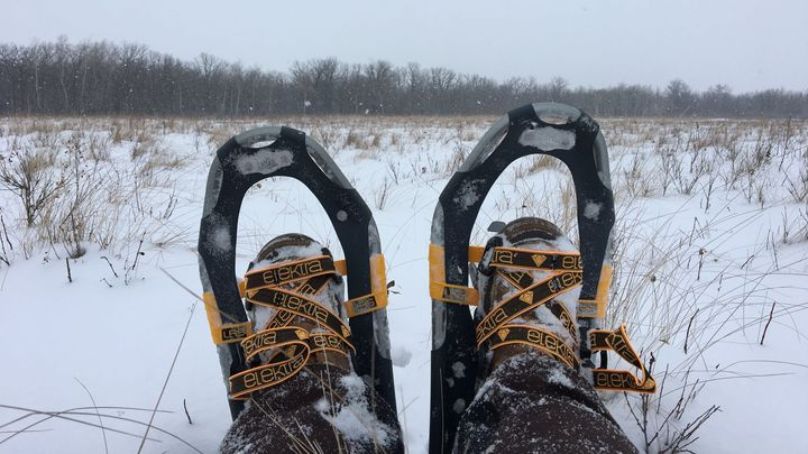 Snowshoes at Living Prairie Museum on a winter day