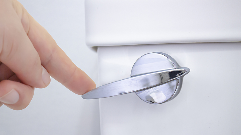 hand flushing toilet