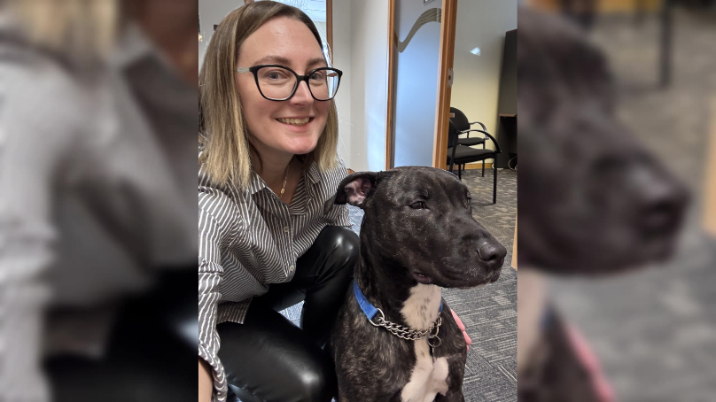 A dog spending the day at the office as part of the Business Buddies program