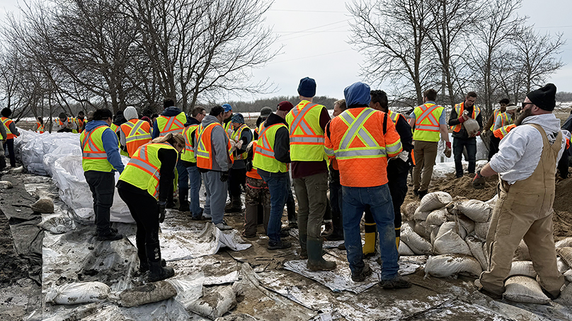 People standing outside in safety gear building a sandbag dike
