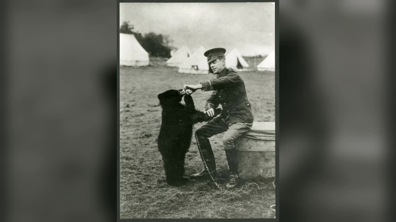 Winnie and Lieut. Harry Colebourn at Salisbury Plains, England, December 1914.