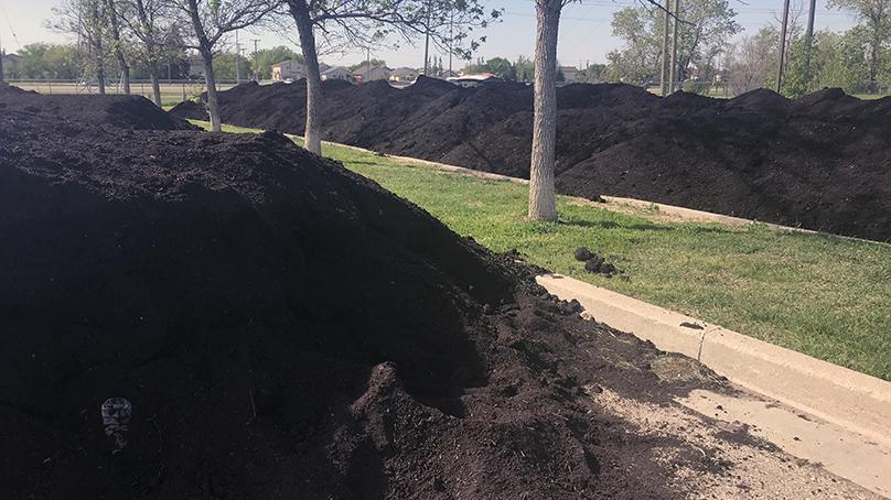 Compost piles at Kilcona Dog Park in 2020
