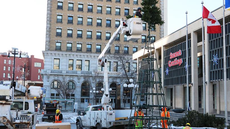 The new City Hall Christmas tree being installed
