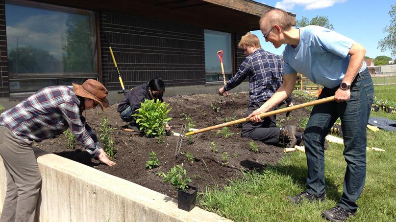 Gardeners landscaping at Living Prairie Museum