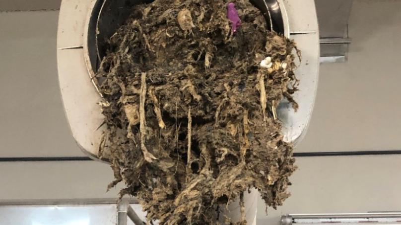 Paper towel and wipes can cause clogs if put down the drain.