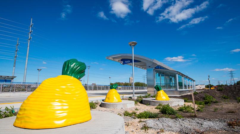 sugar beets art installation on southwest transitway near plaza stop