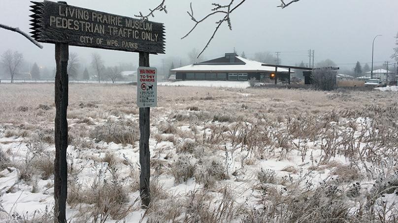 A wooden sign in a snow-covered field that reads "LIVING PRAIRIE MUSEUM, PEDESTRIAN TRAFFIC ONLY, CITY OF WPG. PARKS". The Living Prairie Museum is in the background.