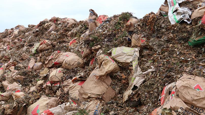 Large pile of leaves, branches, and bags of yard waste.