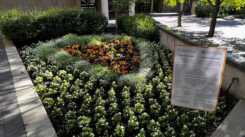 The Orange Heart garden planted in the courtyard of City Hall.