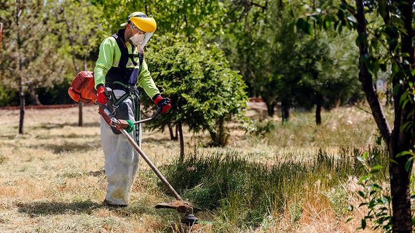 Person trimming grass