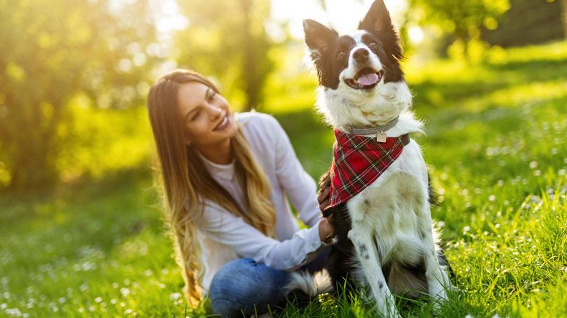woman sitting next to and petting a dog wearing a bandanna and tag in a park
