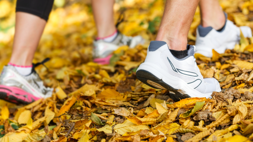 Two people wearing runners walking on leaves