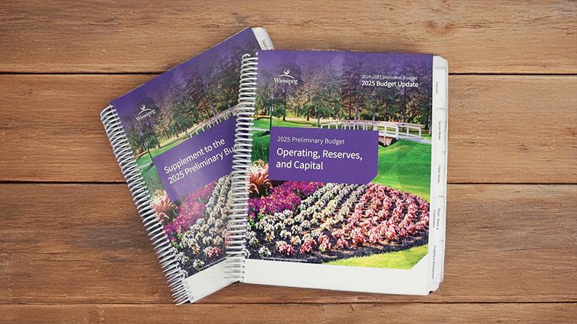 2025 Preliminary Budget books