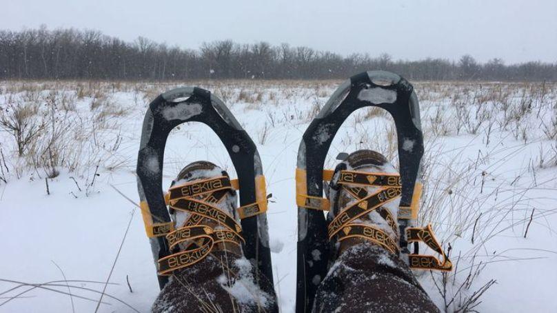 Snowshoes at Living Prairie Museum on a winter day