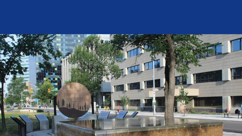 The Year Past, 2024 Cover