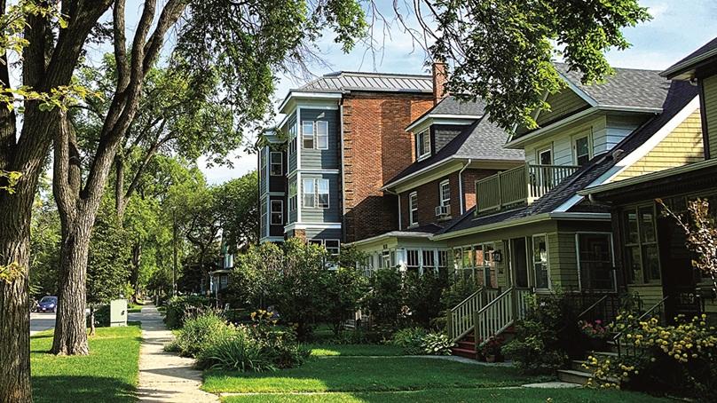 Houses on Wolesley Avenue with trees and a sidewalk