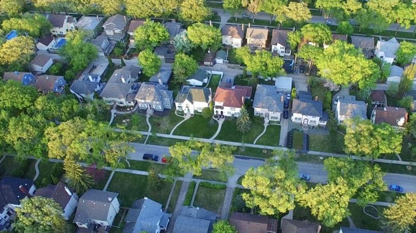Aerial view of a treed Winnipeg neighbourhood