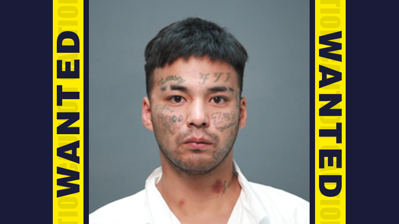 WANTED Addison Laroque