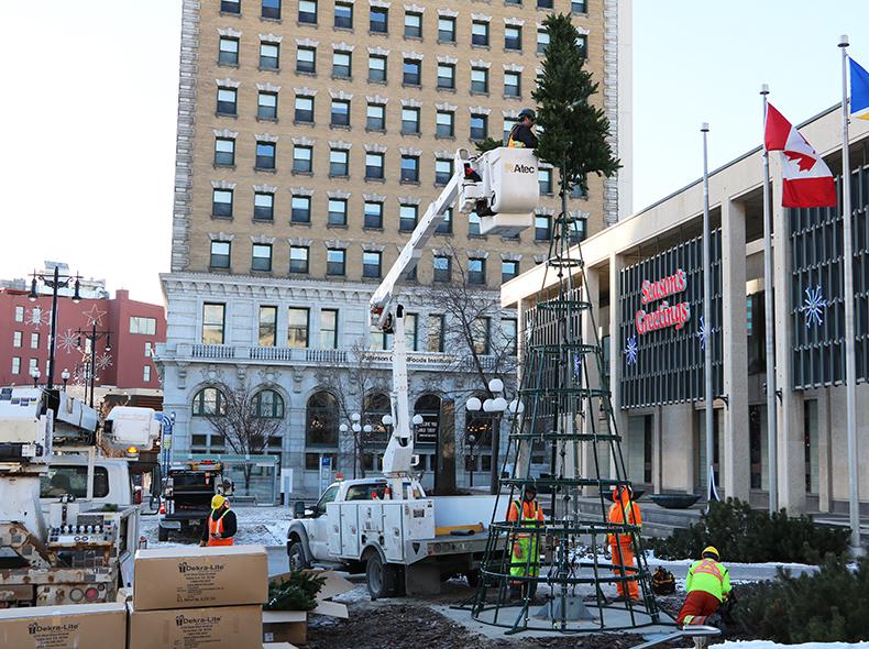 The new City Hall Christmas tree being installed