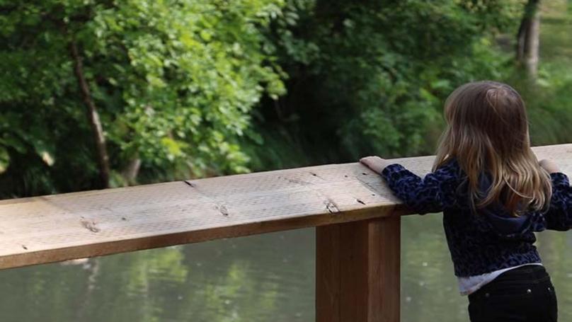 A child looks out over a pond in a regional park