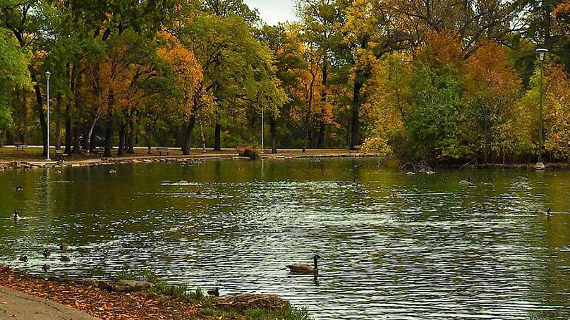 A child looks out over a pond in a regional park