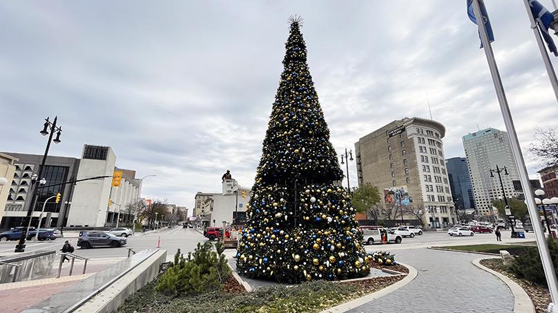 The Christmas tree being installed at City Hall.