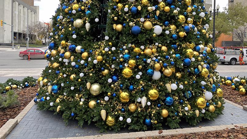 The Christmas tree being installed at City Hall.