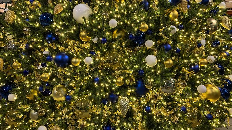 A total of 64,400 LED lights are on the tree.