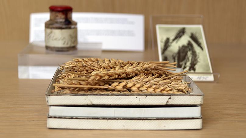 The exhibit also takes place during the Year of the Garden.