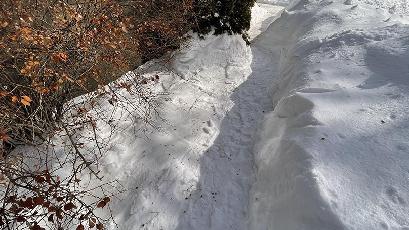 Move snow away from your foundation to minimize the risk of water seeping into your basement.